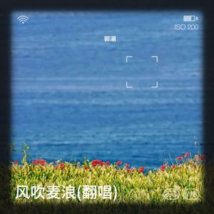 风吹麦浪