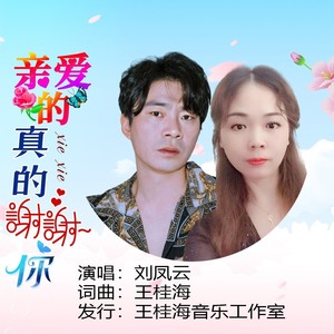 亲爱的真的谢谢你 (深情版)