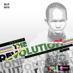 The Revolution (Jerry Flores Remix)