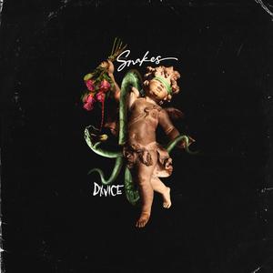 SNAKES (Explicit)