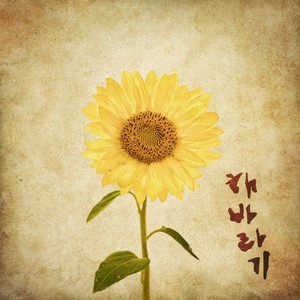 해바라기 (Sunflower) - WITH PIANO