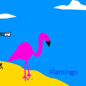 Flamingo
