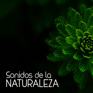 A Meeting of Streams