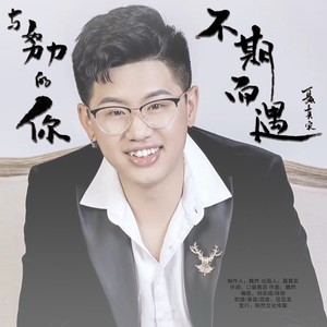 与努力的你不期而遇 (伴奏)