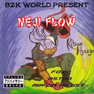 NEJI FLOW (Explicit)