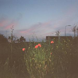flowerjazz (Explicit)