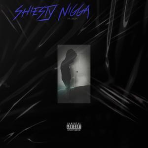 Shiesty Nigga (Explicit)