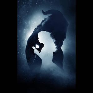 Beauty And The Beast