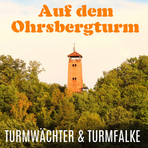 Auf dem Ohrsbergturm
