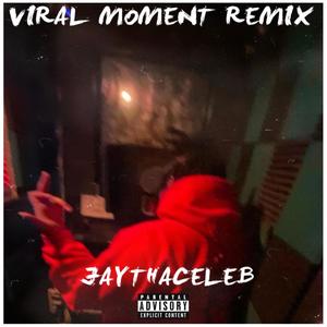 Viral Moment (Remix) [Explicit]