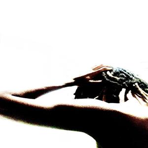 Exhausted (Explicit)