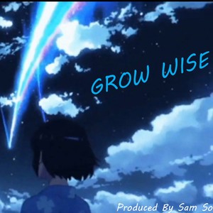 GROW WISE (feat. Jayywavy & Lil Glo) [Explicit]