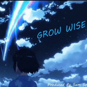 GROW WISE(feat. Jayywavy & Lil Glo) (Explicit)