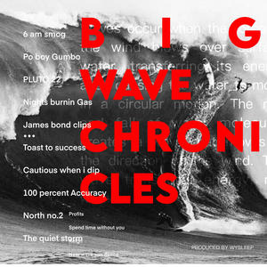 BIG WAVE CHRONICLES