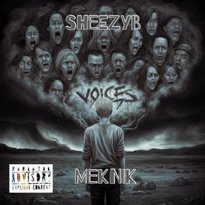 Voices (feat. Meknik) (Explicit)
