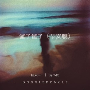 懂了懂了 (节奏版)