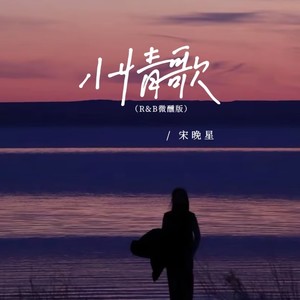 小情歌 (R&B微醺版伴奏)