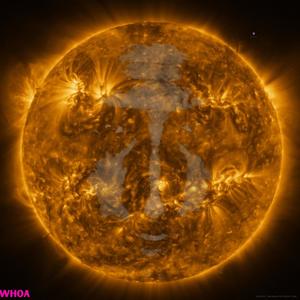 WHOA (feat. David Neon)