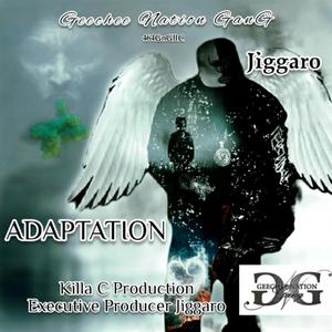 Adaptation (Explicit)