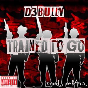 Trained to Go (Explicit)