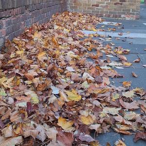 what's left of me (Explicit)