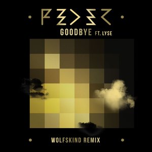 Goodbye (feat. Lyse) (Wolfskind Remix)