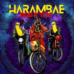 Kilifi (feat. Ziller Bas, Tite & FlexFab)