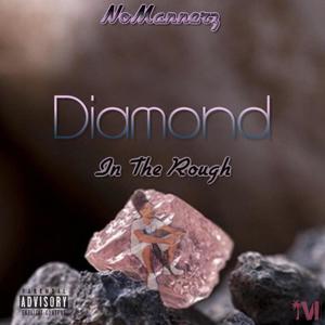 Diamond In The Rough (Explicit)