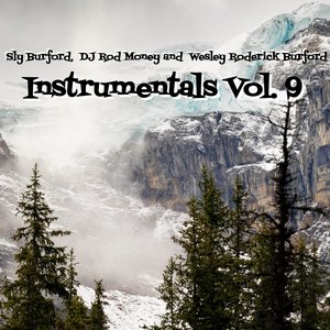 Instrumentals Vol. 9 (Explicit)