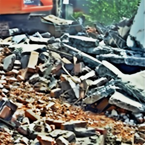 拆家.福瑞斯黛尔