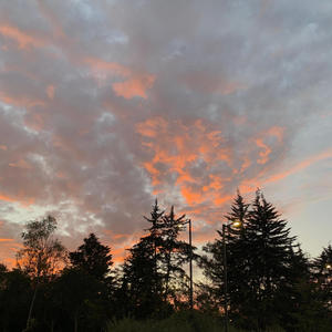 Dolor como ruido (Explicit)