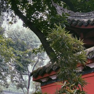 缓冲中 (Glitch Mode) (버퍼링)