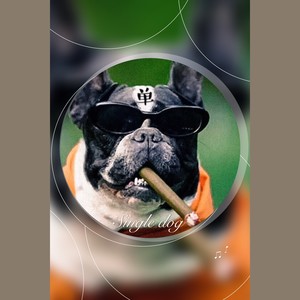 Single dog (单身电音狗之歌)