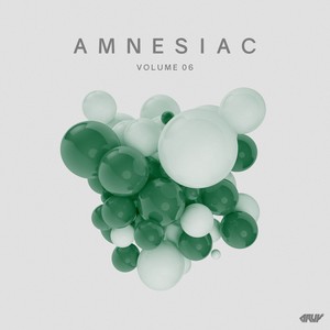 Amnesiac, Vol.06