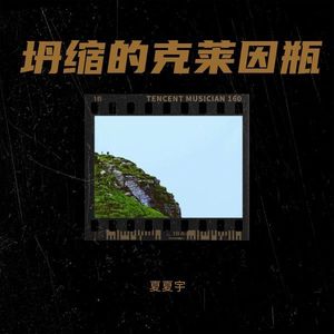 坍缩的克莱因瓶