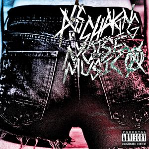 ASS SHAKING (feat. Thyme & .mp3neptune) (Explicit)