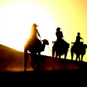 一生奔波 (超好听男声版)