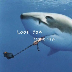 LOOK  YOU (伴奏)
