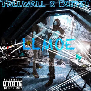 LLMoe (Explicit)