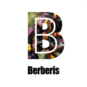 Hum Hum (Original Mix)