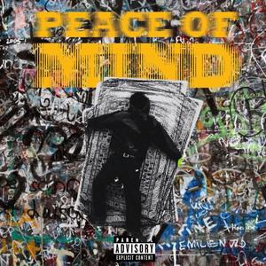 Peace of mind (feat. 4evapaidO) (Explicit)