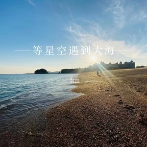 鲸跃星海九万里