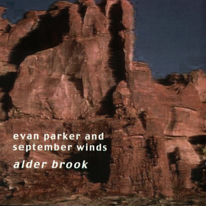 Evan Parker - Sagstrio (Parker, Schmid, Soloturnmann)