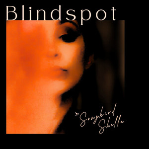 Blindspot