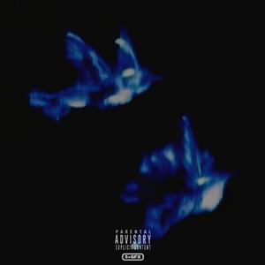 damaged (feat. Kellz Aura & Mikey Narcs) (Explicit)