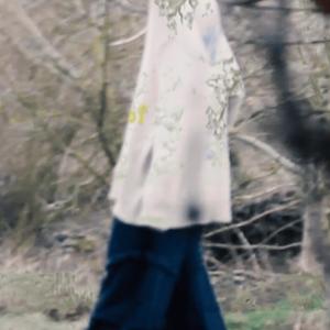 the adventures of (Explicit)