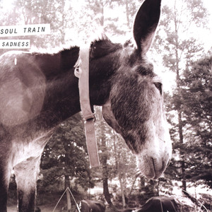 Donkey LP