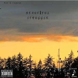 (Beautiful Struggle) [Explicit]