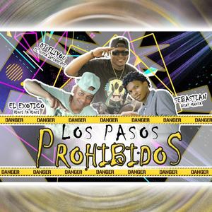 Los Pasos Prohibidos (feat. DJ Fliyou & Riki Pa Riki) [Explicit]