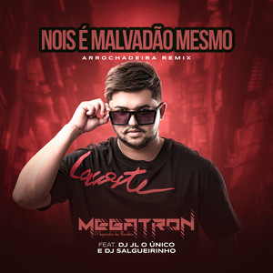 Nois É Malvadão Mesmo(feat. Dj JL O Único & Dj Salgueirinho) (Arrochadeira Remix)
